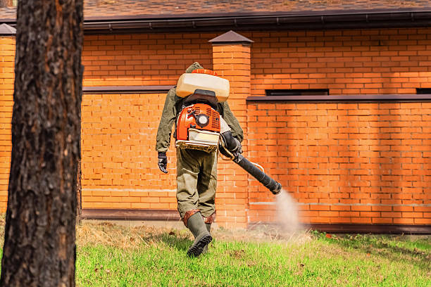 Trusted Bed Bug Control service in Zelienople, PA - Nex Pest Control